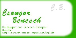 csongor benesch business card